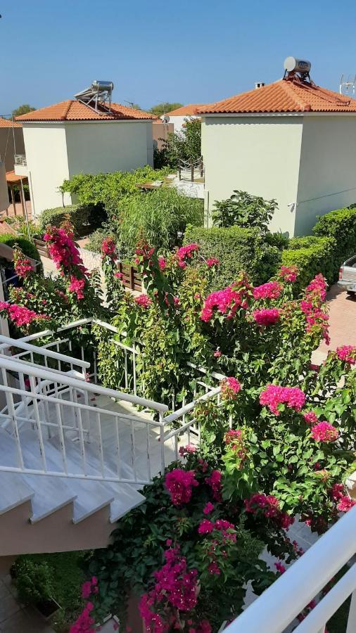 Alkioni Studios Vatera Dış mekan fotoğraf