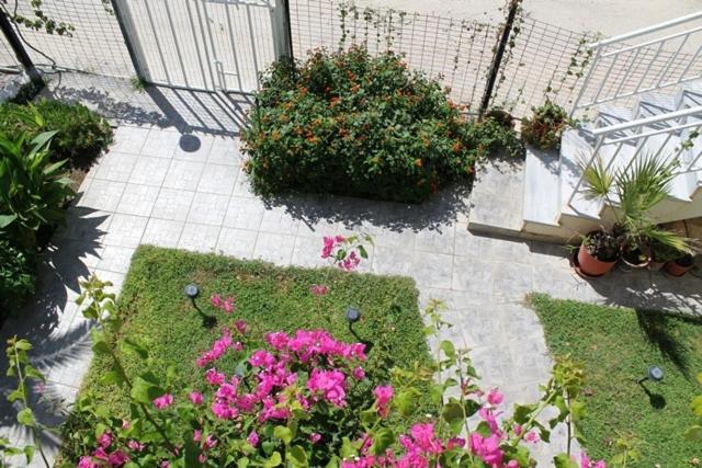 Alkioni Studios Vatera Dış mekan fotoğraf